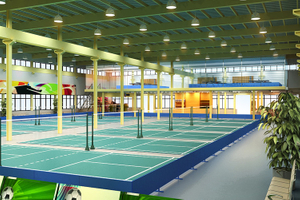 Aréna complexe sportif d'intérieur pour le basket-ball et le football avec structure de cadre métallique