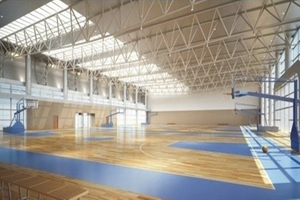 Portée libre de conception de gymnase de structure métallique pour le terrain de basket d'intérieur